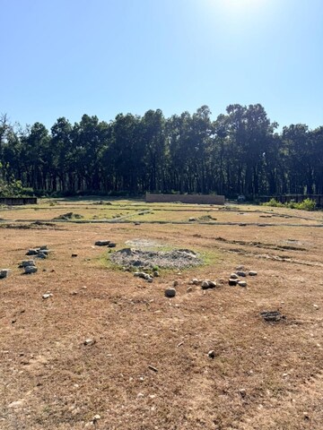  Plot For Sale in Shimla Bypass Road