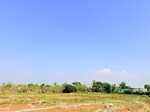 430 Sq.Yd. Plot in Sherpur 