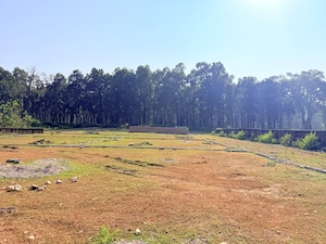 Plot Area in  Plot at Sherpur – for Sale