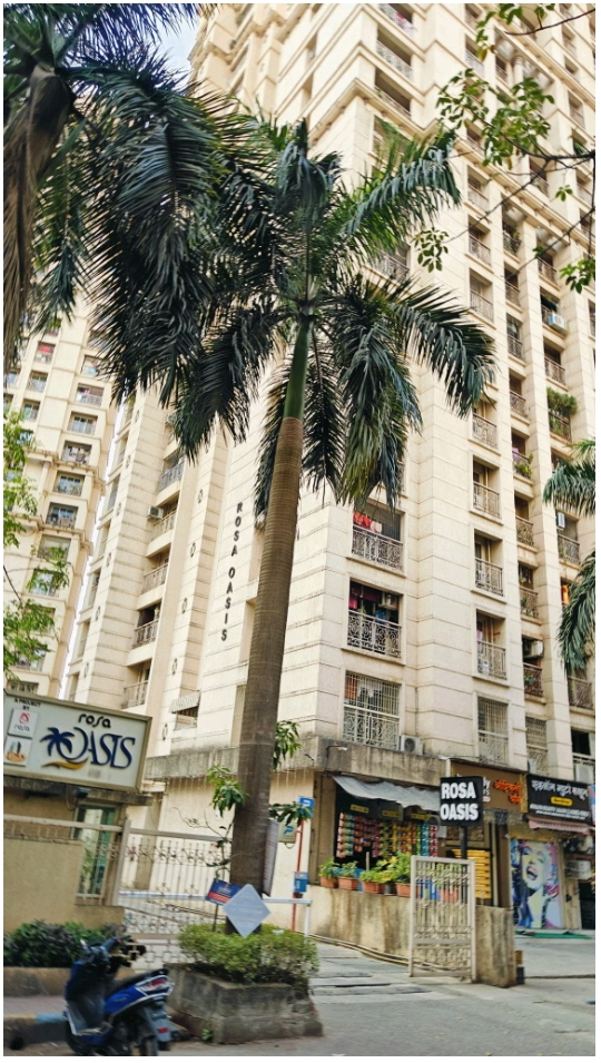 2 BHK + Pooja Room Apartment For Rent in Rosa Oasis Ph 2