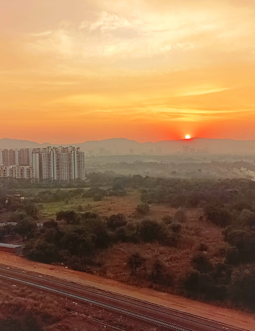 1 BHK Apartment For Rent in Runwal My City Phase II Cluster 05