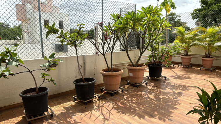 Terrace, camp 6 Bedroom 4000 Sq.Ft. Apartment In Camp Pune 9550811