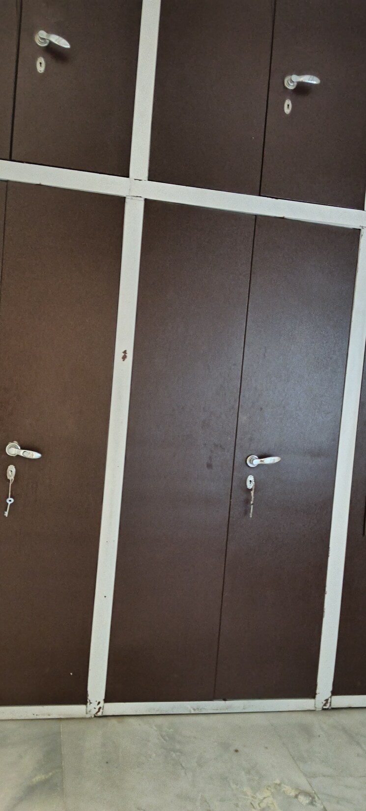 undefined, rwa-apartments-sector-50 3 Bedroom 250 Sq.Mt. Villa In Sector 50 Noida 9550831