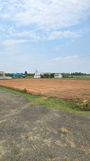 Plot Area in  Plot at Kinathukadavu – for Sale