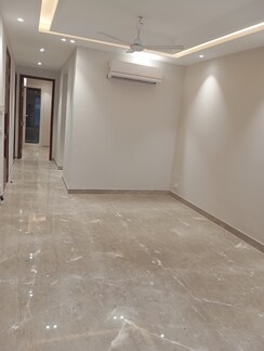 3 BHK + Pooja Room Builder Floor For Sale in Chittaranjan Park