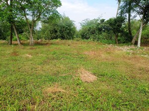 Plot Area in  Plot at Sonarpur – for Sale