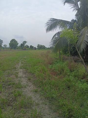 Plot Area in  Plot at Sonarpur – for Sale