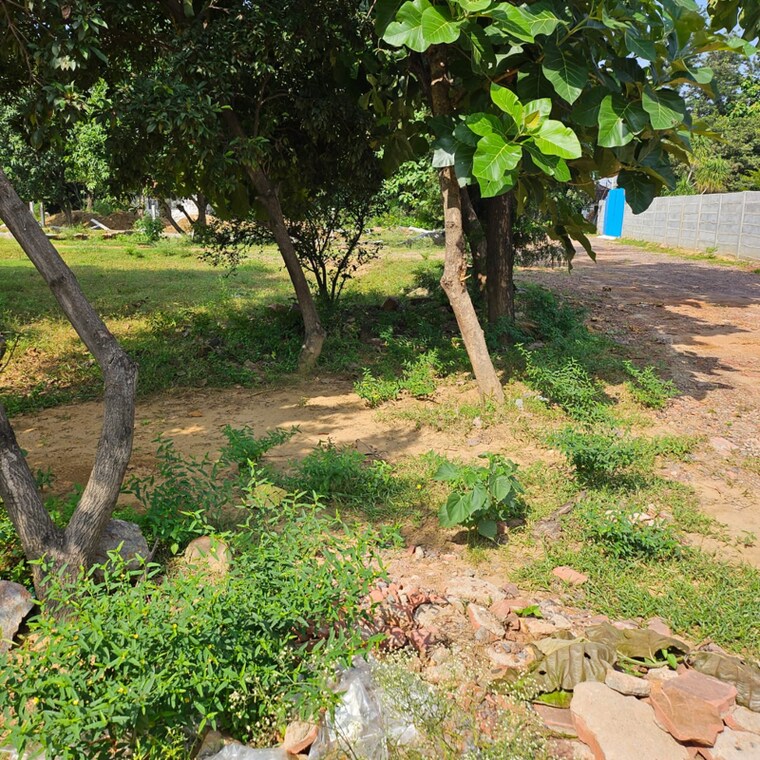 undefined, sector 67a  100 Sq.Yd. Plot In Sector 67a Gurgaon 9551090