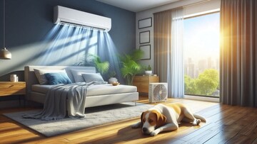 Gym in 2 BHK Apartment at Sai Baba Complex, Aarey Colony – for Rent