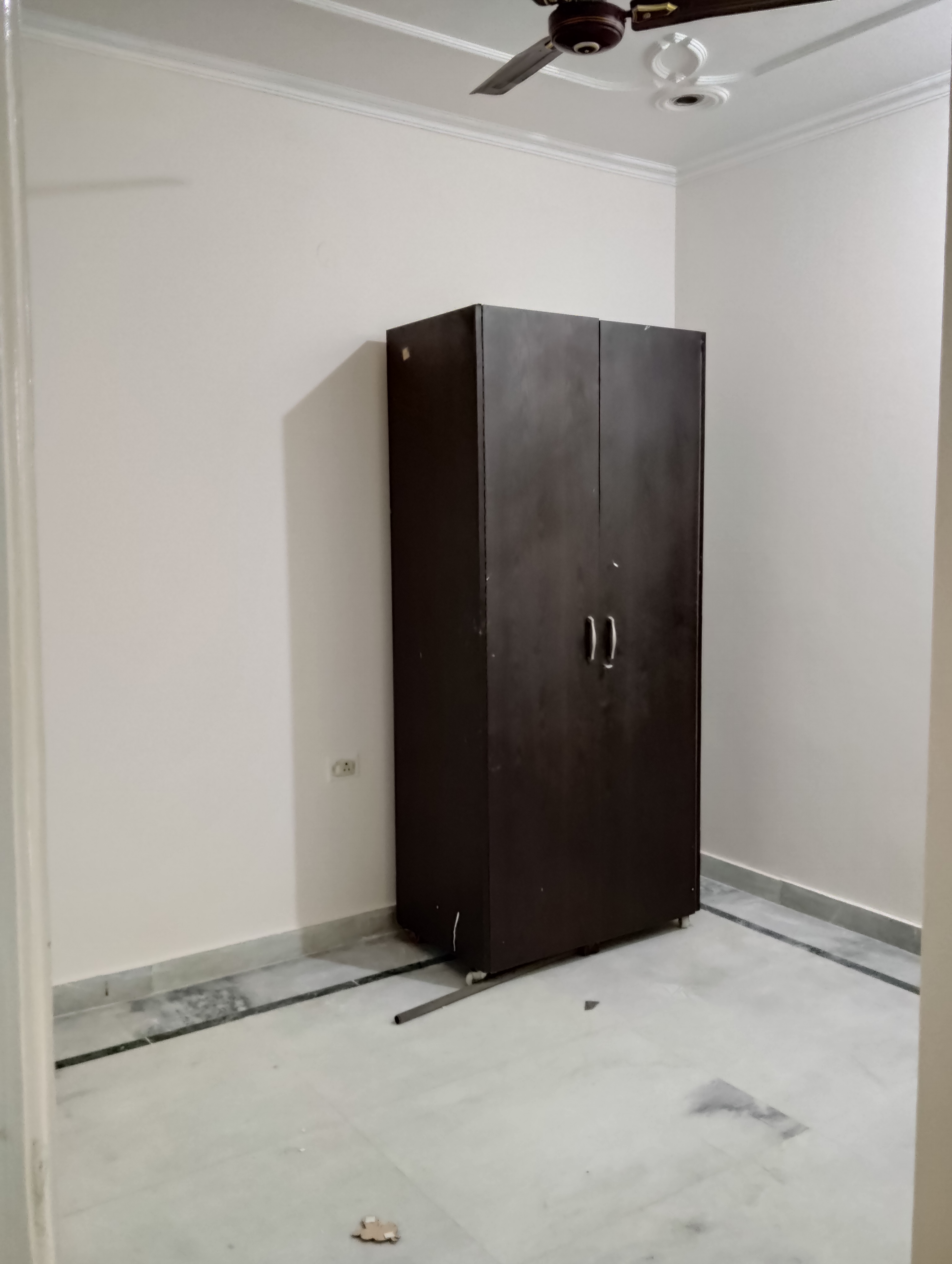 3 BHK + Pooja Room Builder Floor For Rent in Sector 16