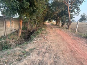 Plot Area in  Plot at Gwalior Road – for Sale