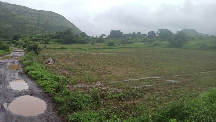 undefined, satpur  3000 Sq.Ft. Plot In Satpur Nashik 9551596