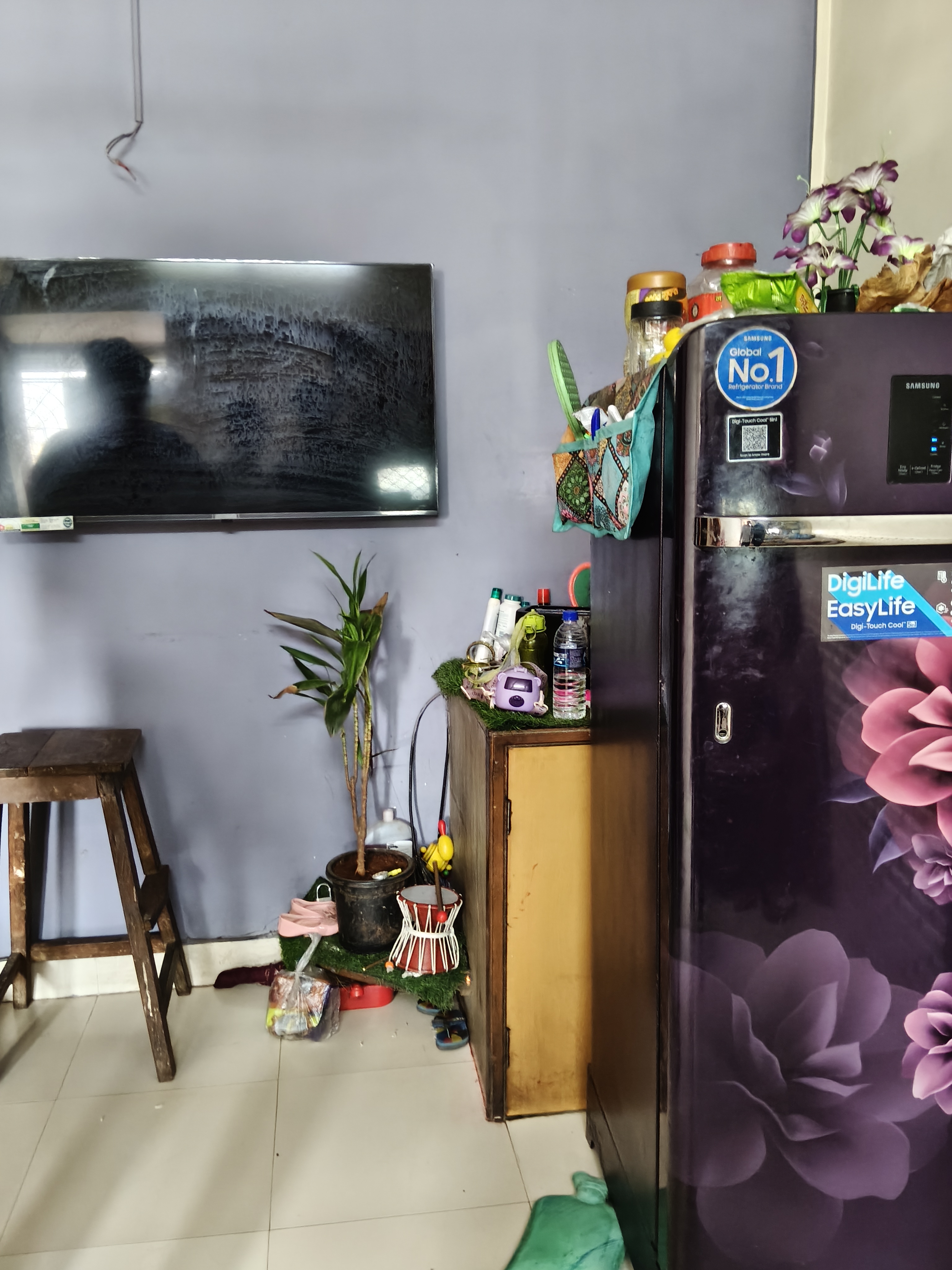 1 BHK Apartment For Rent in Kaveri CHS Santacruz