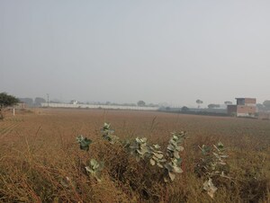  Land For Sale in Pataudi