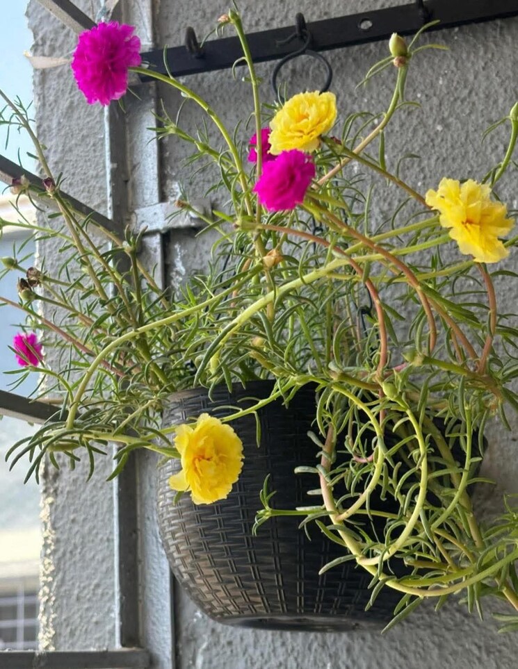 Exterior View, goregaon west Pg For Girls In Goregaon West 9551797