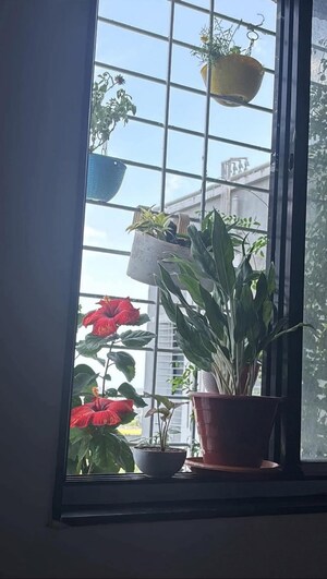 Balcony in  Pg at Goregaon West – for Rent