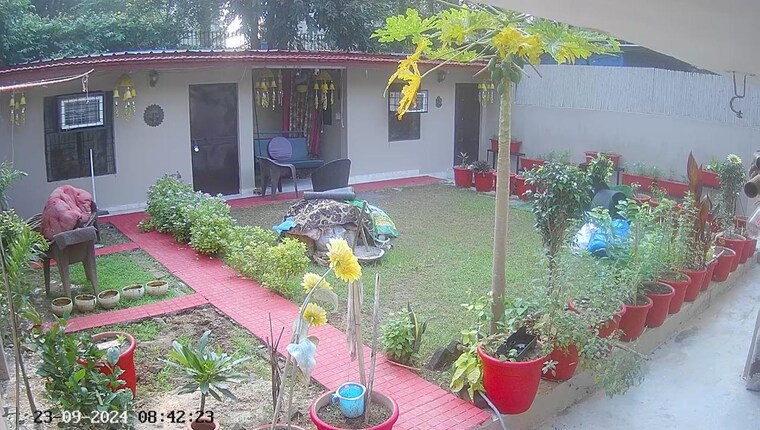 Garden, sainik farm 3 Bedroom 2250 Sq.Ft. Independent House In Sainik Farm Delhi 9551848