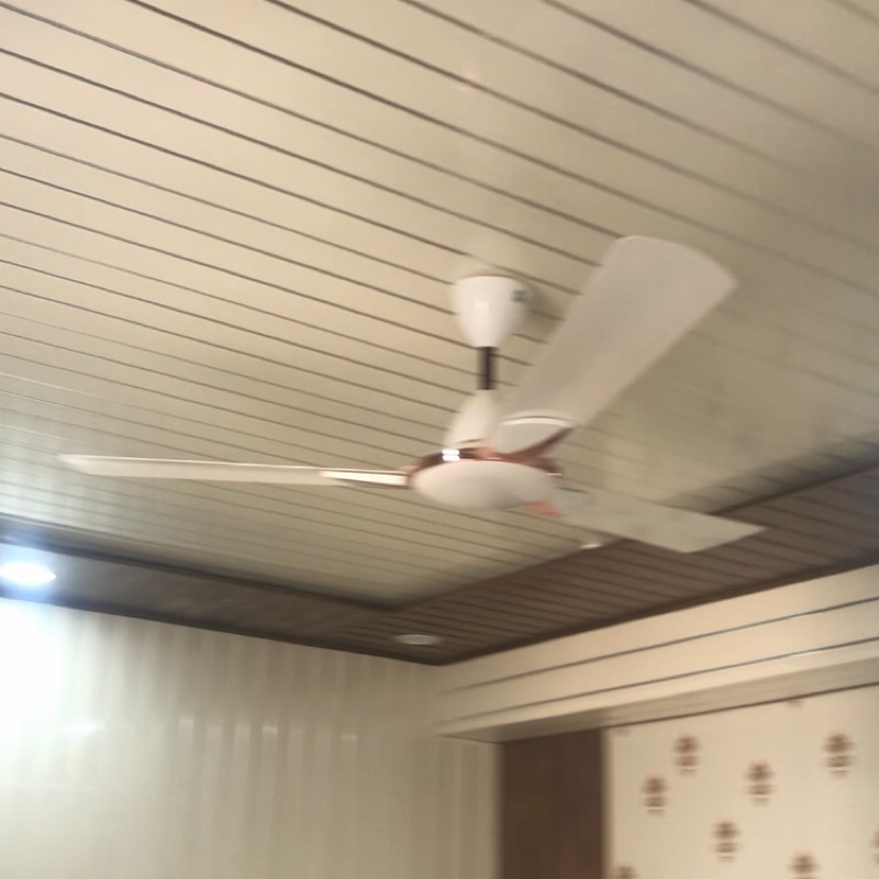 2 BHK Builder Floor For Rent in Lajpat Nagar I