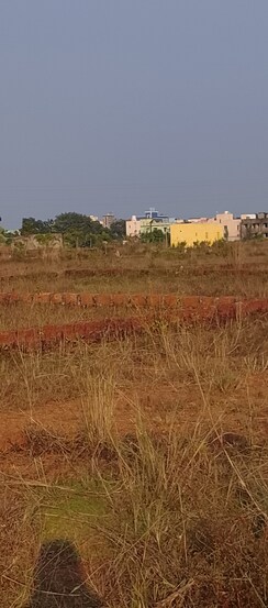 Plot For Sale in Patrapada