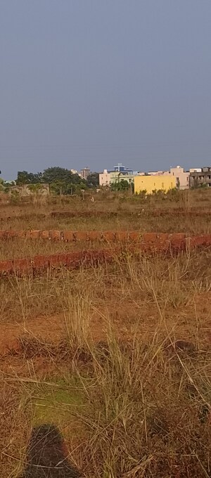  Plot For Sale in Patrapada