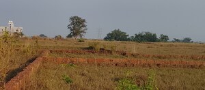 Plot Area in  Plot at Patrapada – for Sale