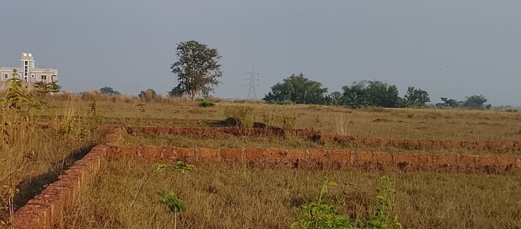 undefined, patrapada  1200 Sq.Ft. Plot In Patrapada Bhubaneswar 9552047