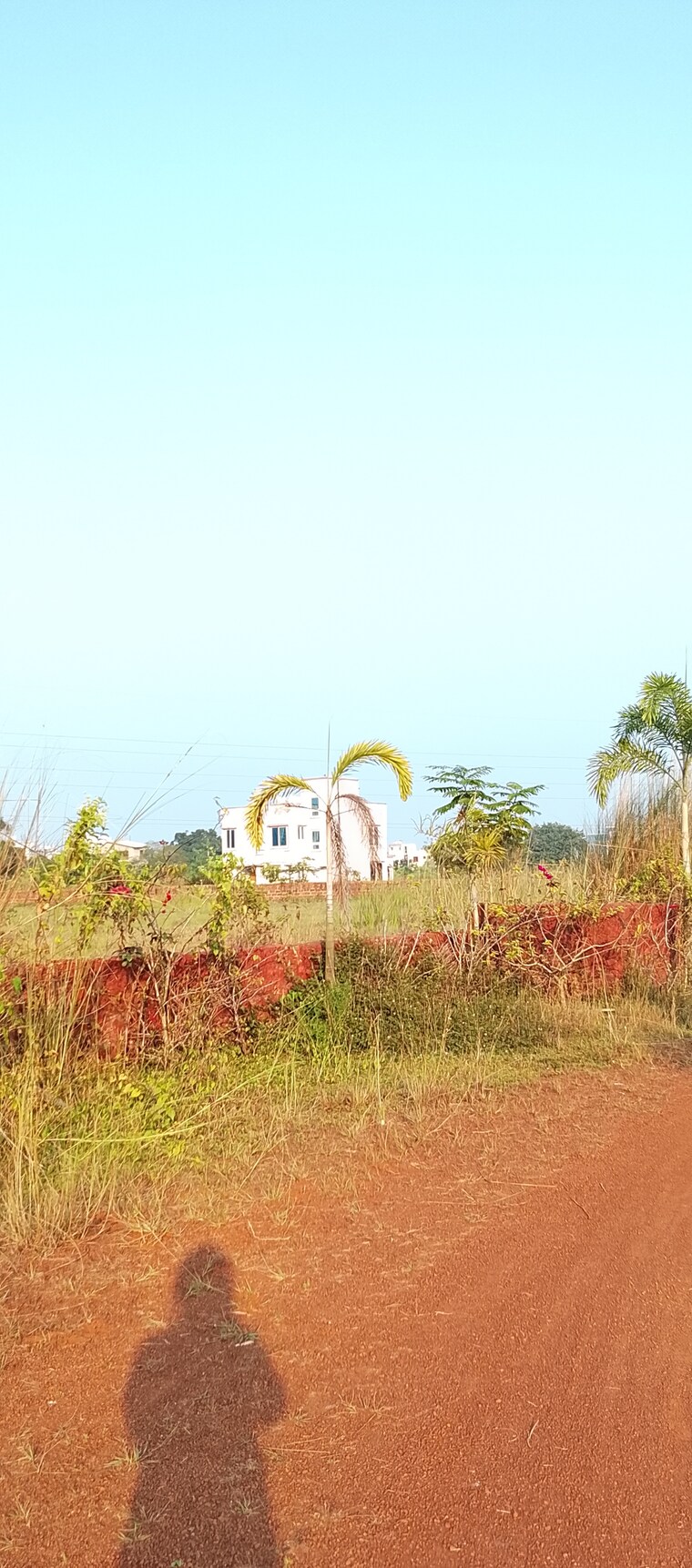 undefined, patrapada  1200 Sq.Ft. Plot In Patrapada Bhubaneswar 9552047