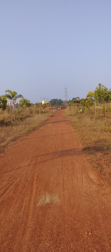 Plot Area in  Plot at Patrapada – for Sale