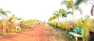  Plot – Garden View at Patrapada - for Sale