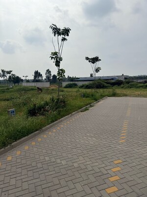  Plot For Sale in Ekta Greens, Hosur Road