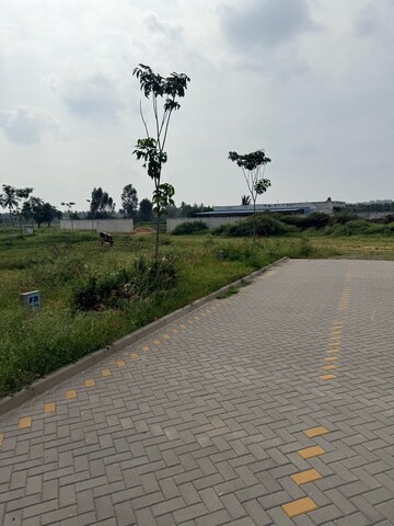  Plot For Sale in Ekta Greens, Hosur Road