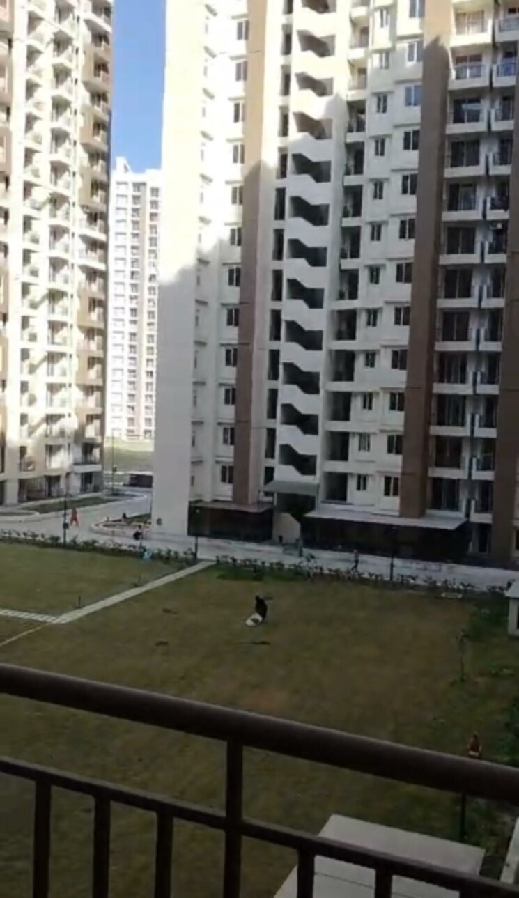 Exterior View, amrapali-golf-homes 2 Bedroom 835 Sq.Ft. Apartment In Sector 4 Greater Noida Greater Noida 9552378