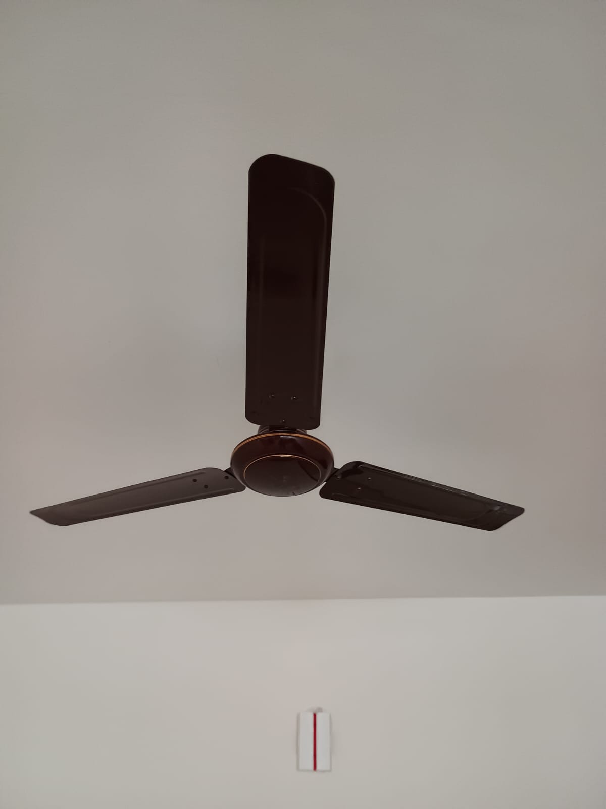 1 BHK + Pooja Room Apartment For Rent in Goel Ganga Hamlet