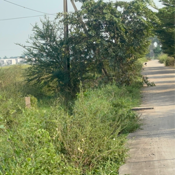  Plot – Garden View at Kanchikacherla - for Sale