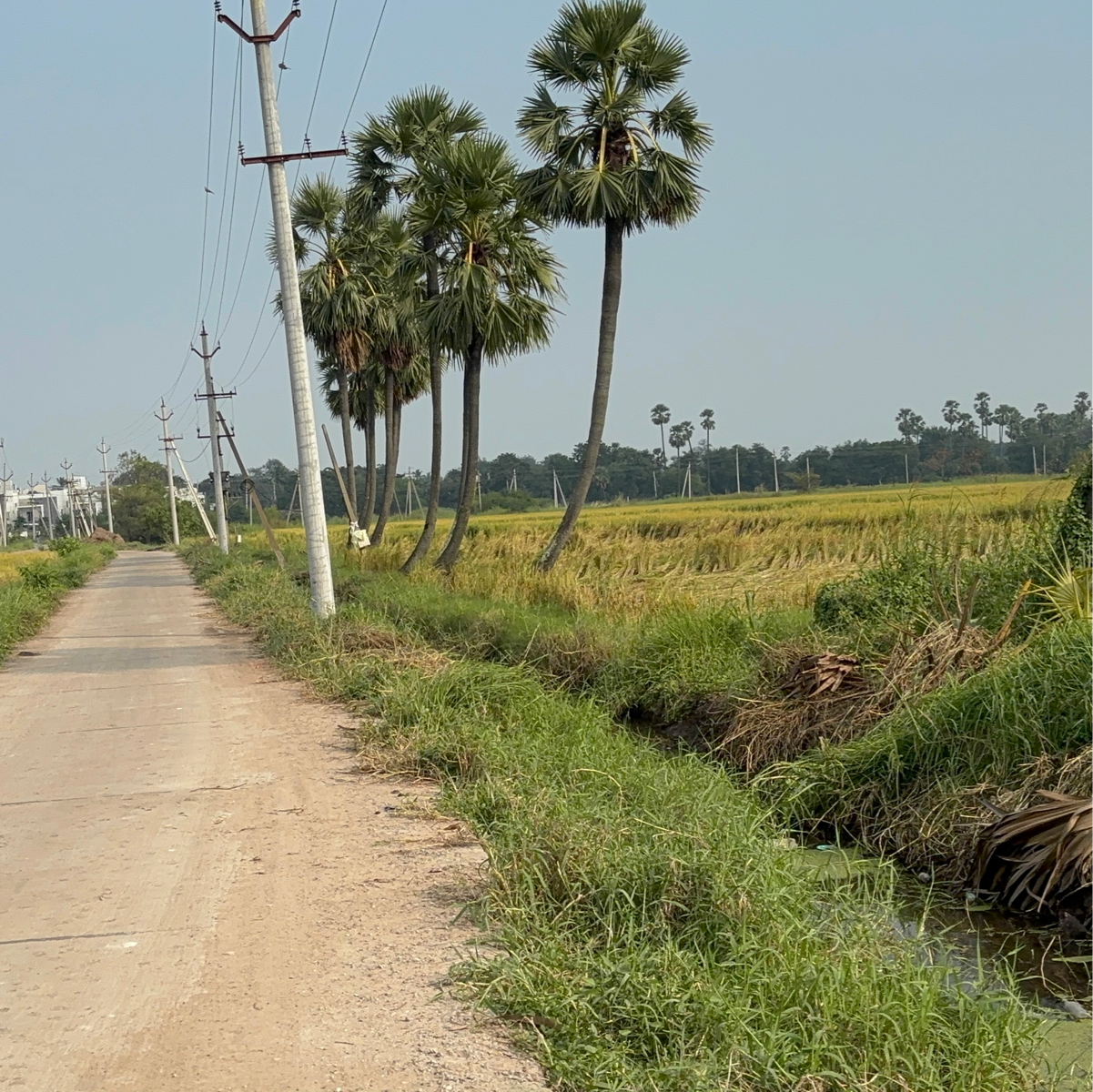 Plot For Sale in Sei Sai Jy Property  Kanc