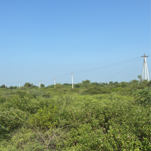 Plot Area in  Plot at Kanchikacherla – for Sale