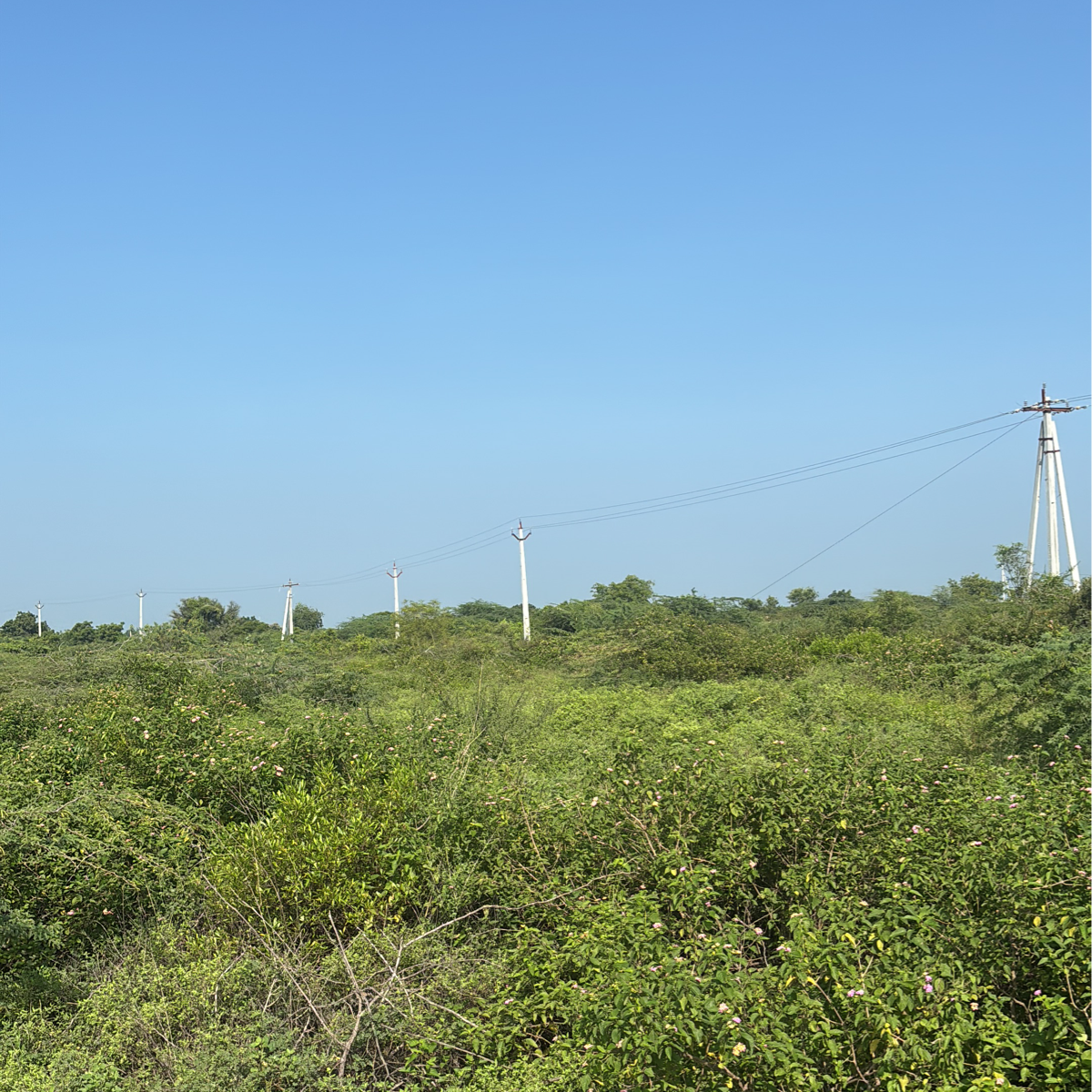 Plot Area in  Plot at Kanchikacherla – for Sale