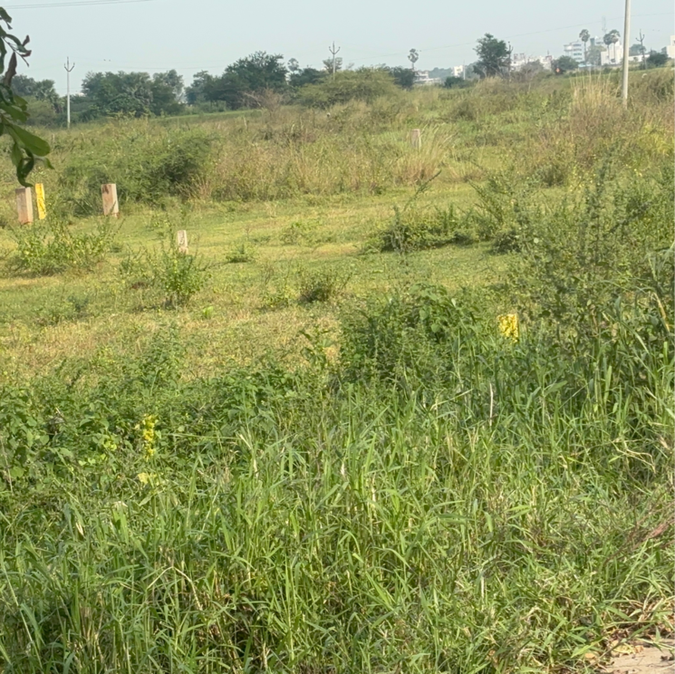 undefined, kanchikacherla  166 Sq.Yd. Plot In Kanchikacherla Vijayawada 9552648