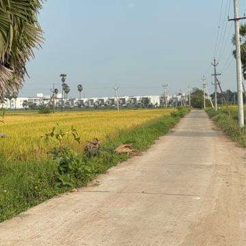 Plot Area in  Plot at Kanchikacherla – for Sale