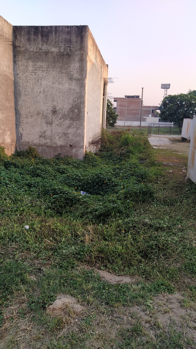 Exterior View, omaxe-new-chandigarh Commercial Land 33 Sq.Yd. In North Mullanpur Chandigarh 9552697
