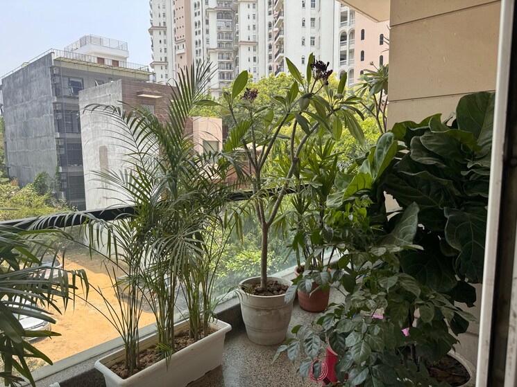 Exterior View, dlf-city-phase-iv 3 Bedroom 2500 Sq.Ft. Builder Floor In Dlf Phase iv Gurgaon 9552753