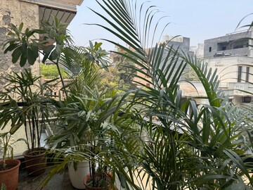 3 BHK Builder Floor – Exterior View View at DLF City Phase IV, Dlf Phase iv - for Rent