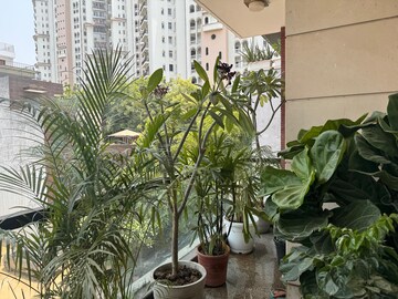 Balcony in 3 BHK Builder Floor at DLF City Phase IV, Dlf Phase iv – for Rent