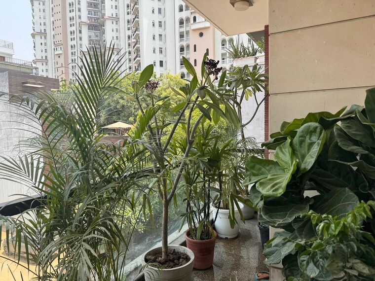 Balcony, dlf-city-phase-iv 3 Bedroom 2500 Sq.Ft. Builder Floor In Dlf Phase iv Gurgaon 9552753