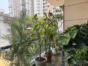 Balcony in 3 BHK Builder Floor at DLF City Phase IV, Dlf Phase iv – for Rent