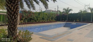 Swimming Pool in 4 BHK Penthouse at Deeksha Dwarika, Khandari – for Rent
