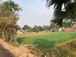 950 Sq.Yd. Land in Agricultural Land Near je