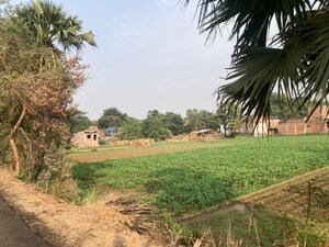  Land For Sale in Jewar