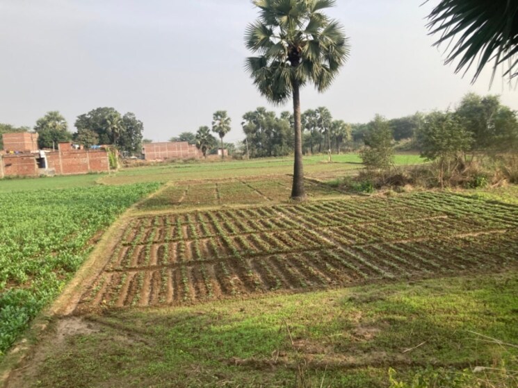 Garden, jewar Commercial Land 950 Sq.Yd. In Jewar Greater Noida 9553071