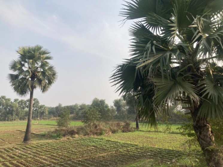 Garden, jewar Commercial Land 950 Sq.Yd. In Jewar Greater Noida 9553071